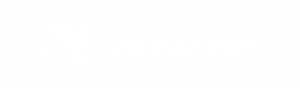 deepseek